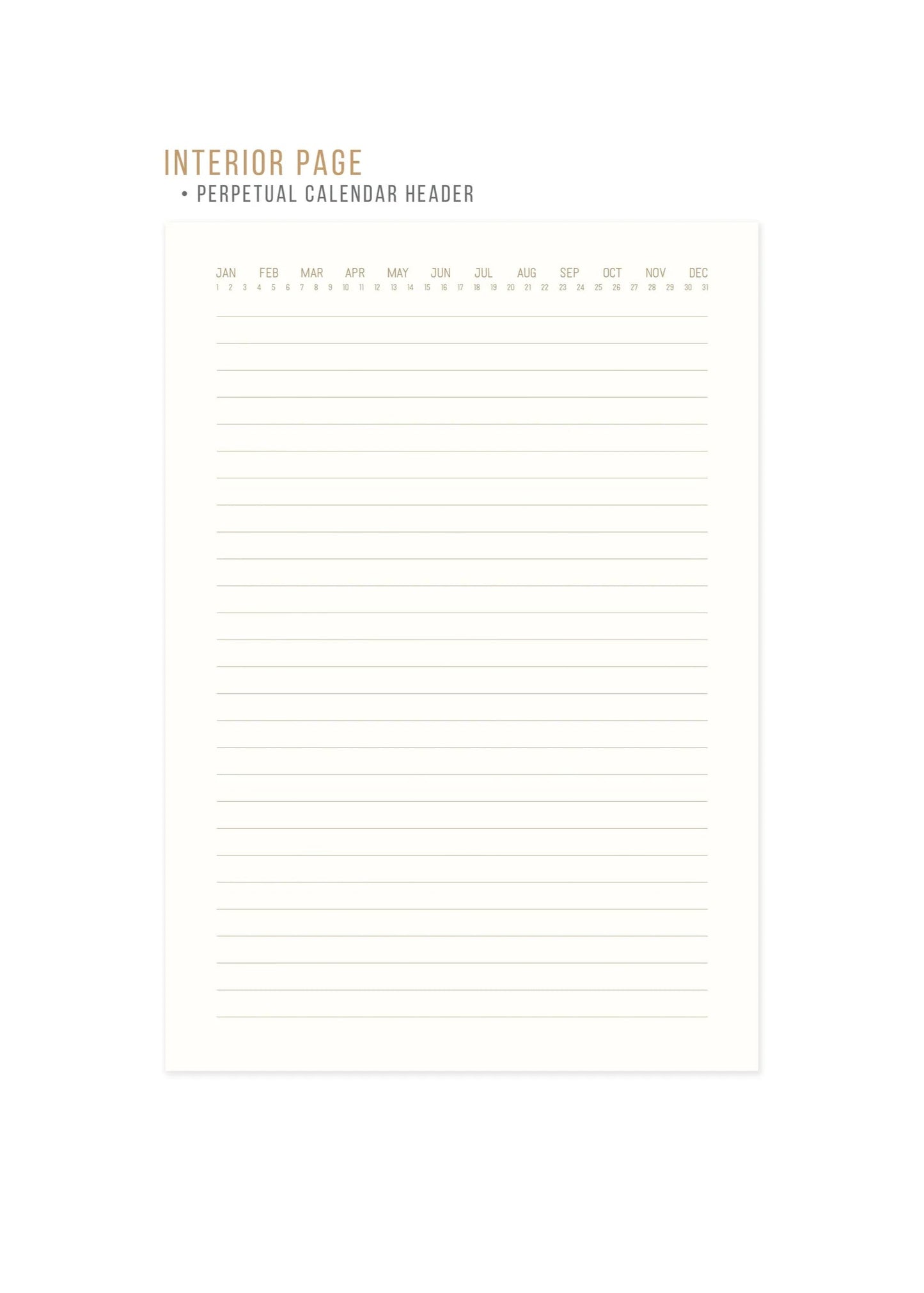 Designworks Ink Hard Cover Suede Cloth Journal With Pocket | Radiant Rainbow