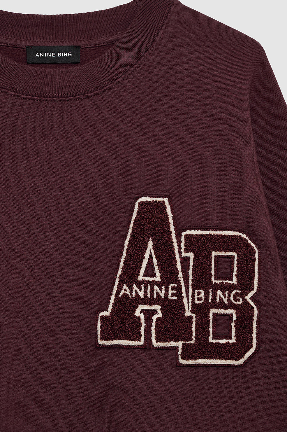 Anine Bing Miles Oversized Sweatshirt Letterman