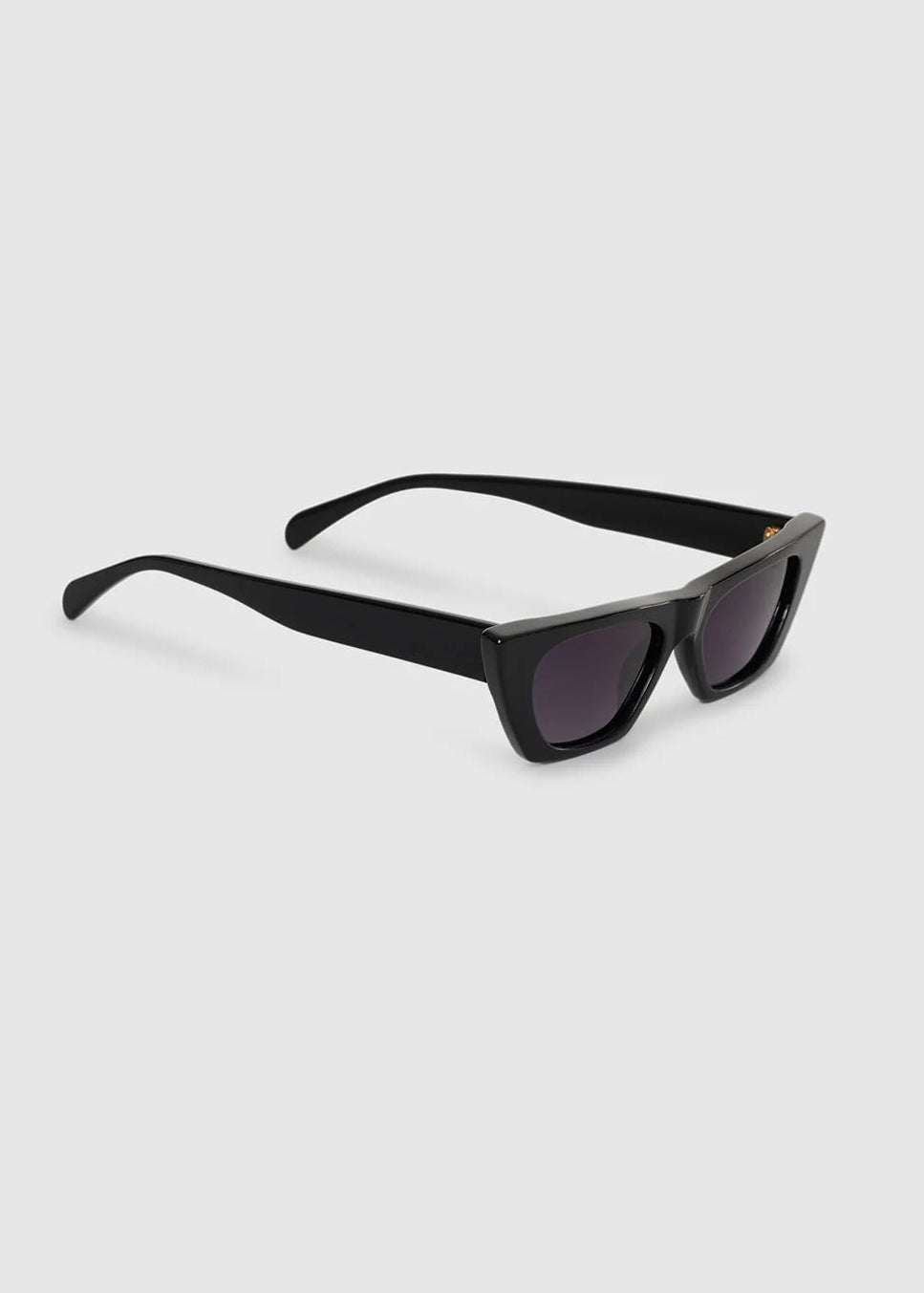 Anine Bing Pierre Sunglasses | Black – tenley dietrich