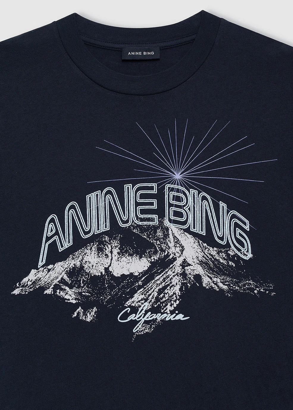 Anine Bing Walker Tee California | Vintage Black