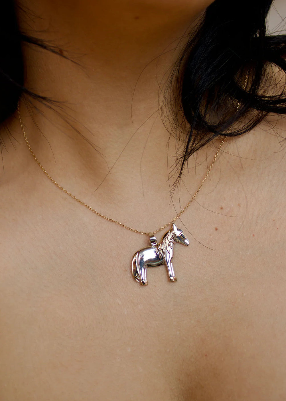 SCOSHA The Healing Horse Charm