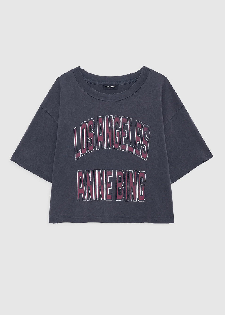 Anine Bing Johnny Cropped Tee | Washed Black