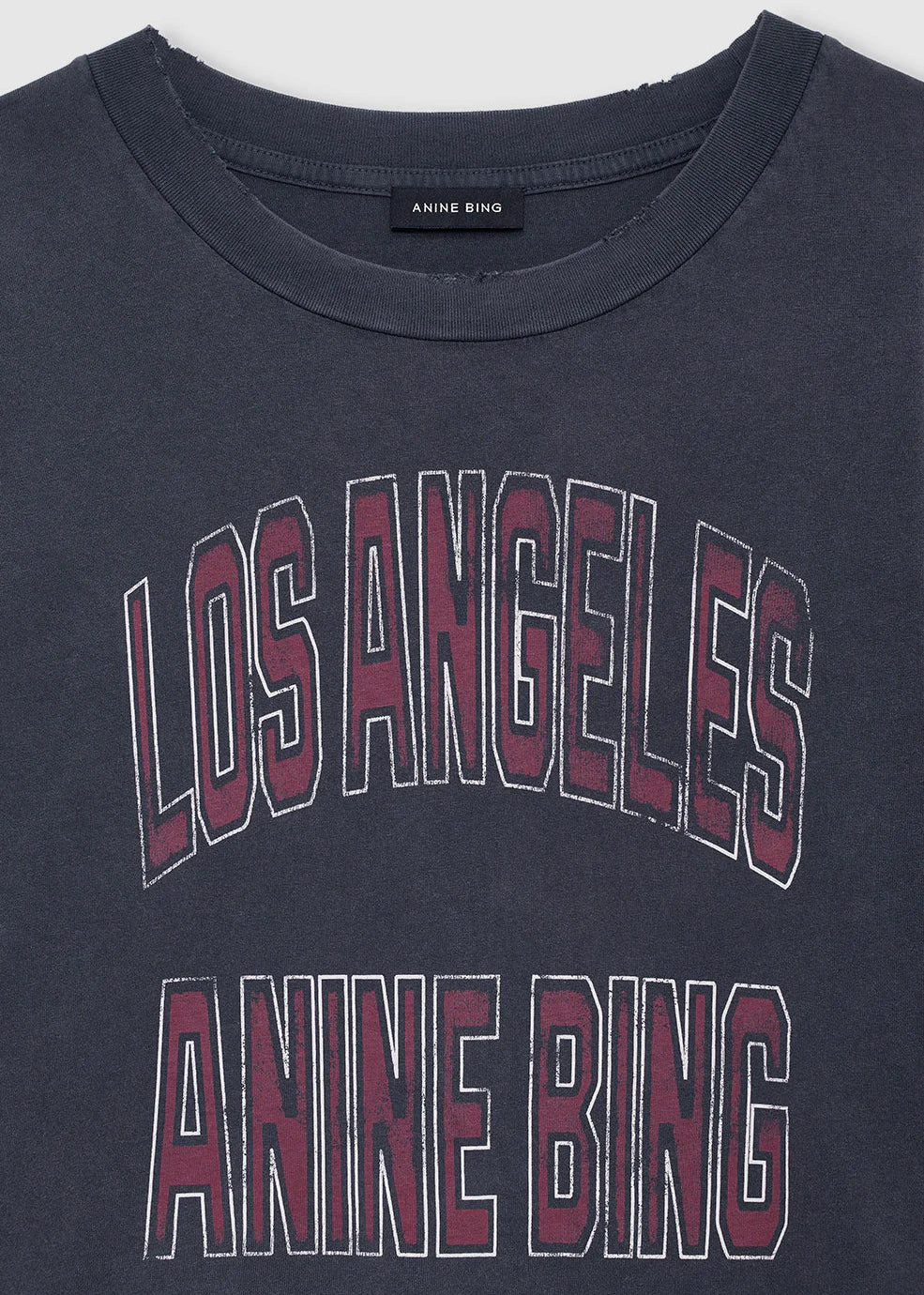 Anine Bing Johnny Cropped Tee | Washed Black