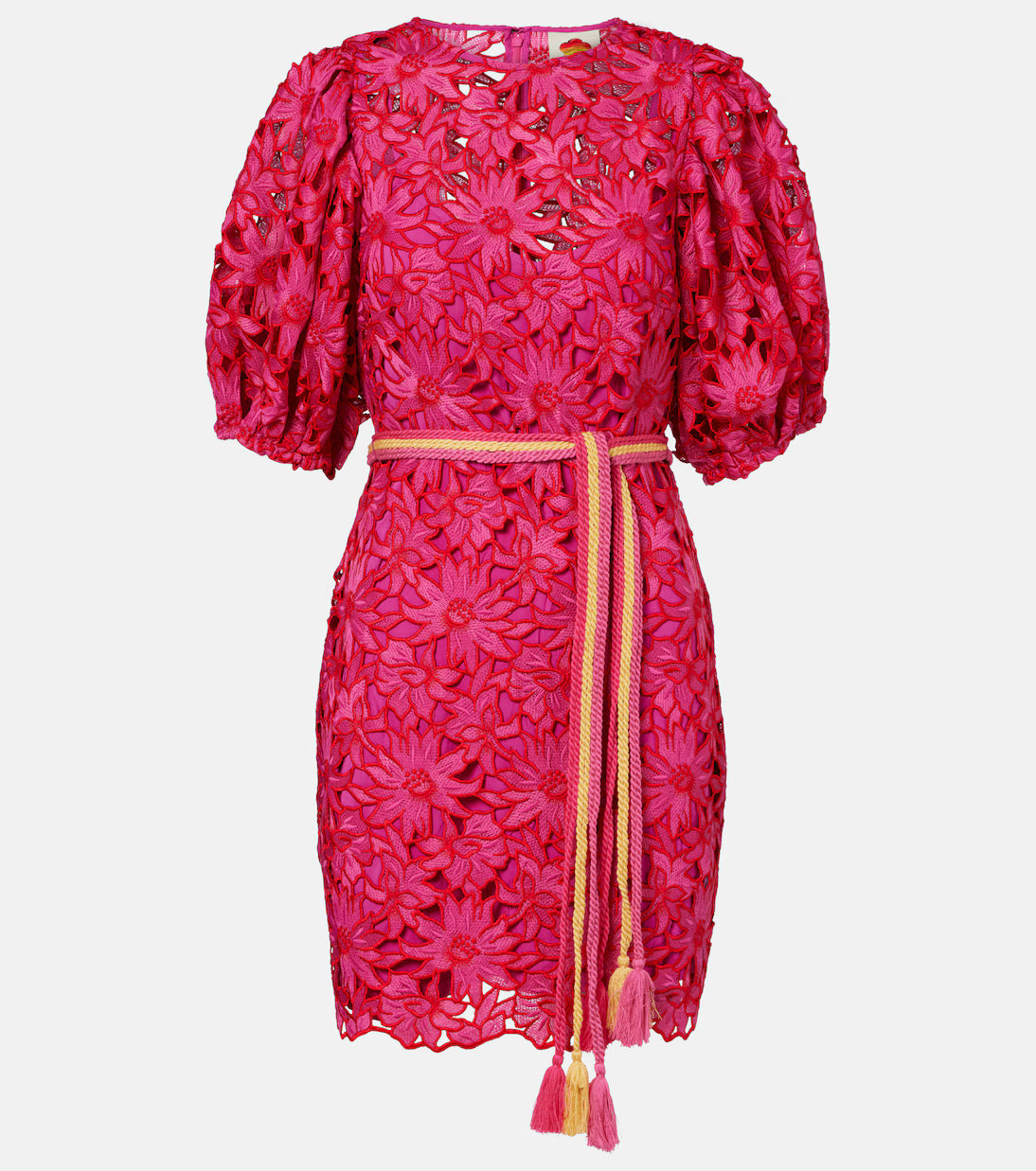 FARM Rio Flowered Pink Lace Mini Dress