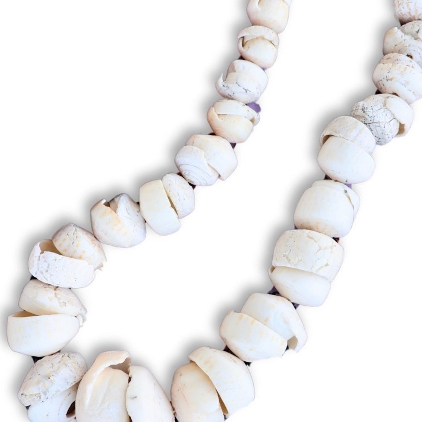 African Shell Objet D'Art