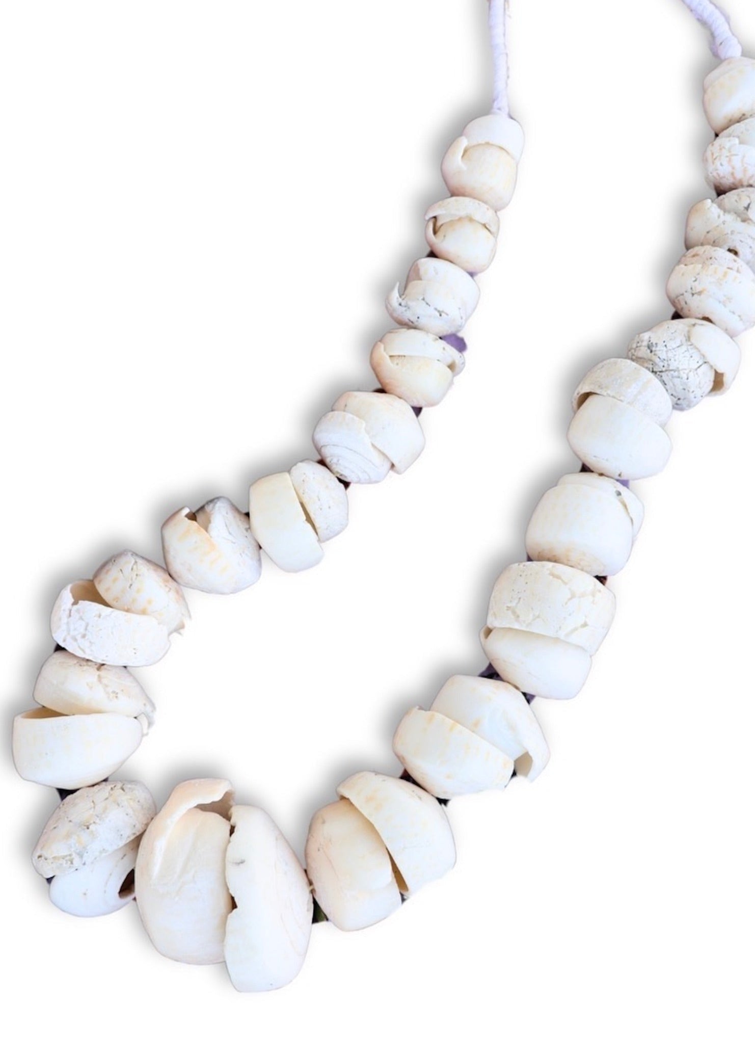 African Shell Objet D'Art