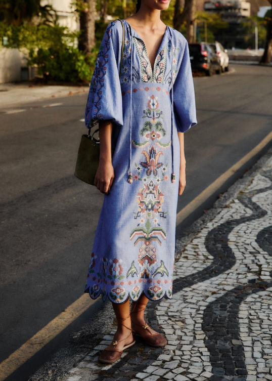 FARM Rio Garden Tapestry Blue Embroidery Long Sleeve Midi Dress