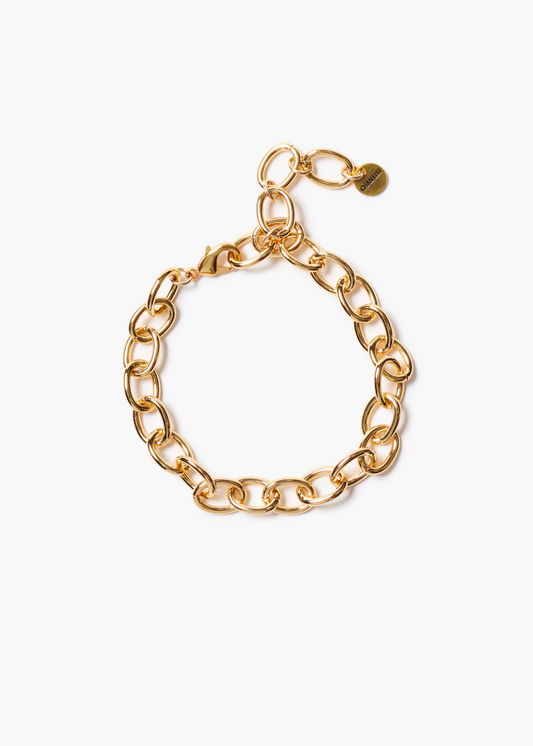 Chan Luu Gold Plated Brass Chain Link Anklet