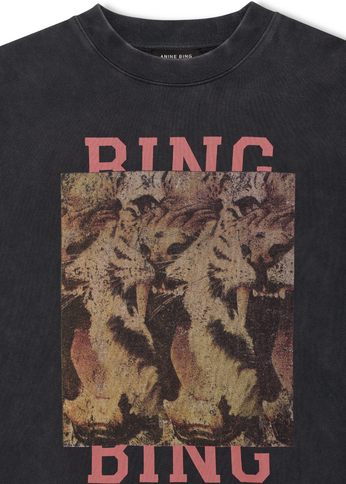 Anine Bing Miles Sweatshirt Tiger Bing | Washed Black
