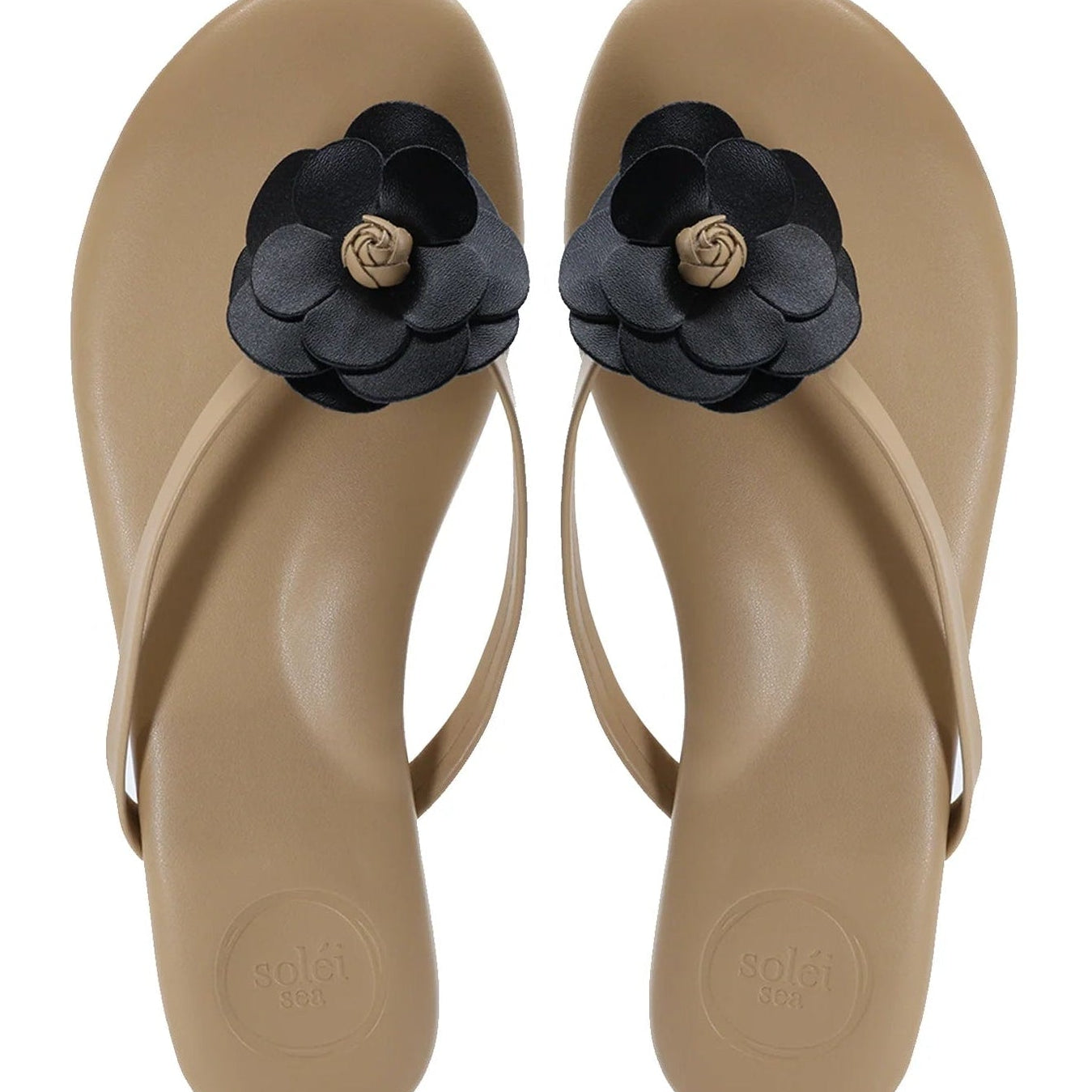 Solei Sea Valentina | Tan & Black
